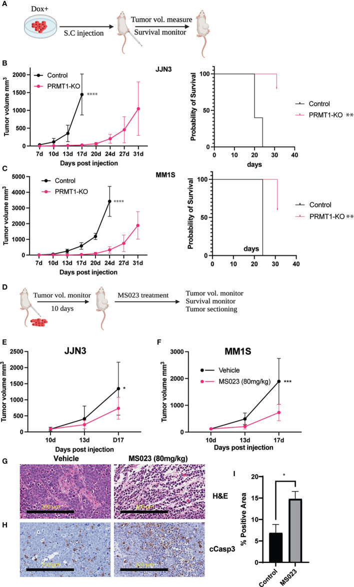 Figure 6