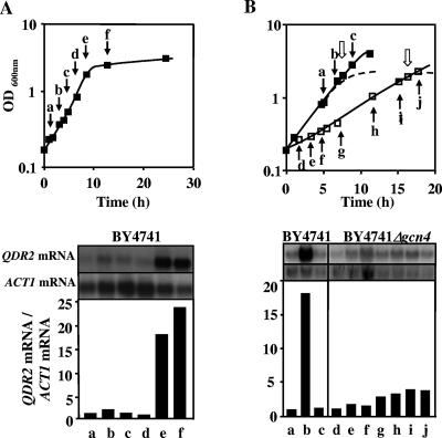 FIG. 4.