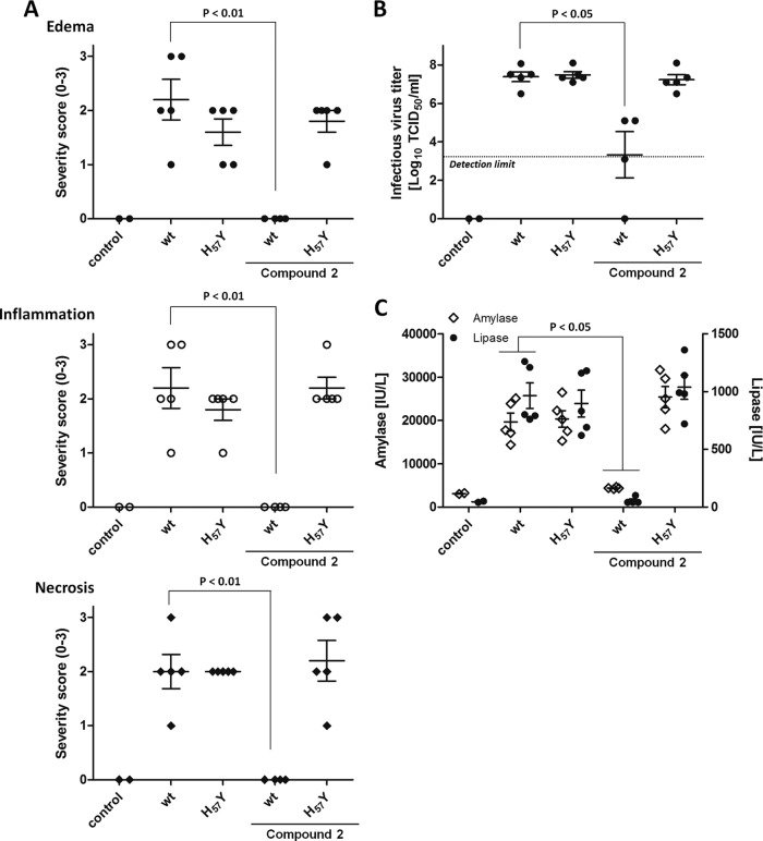 FIG 2