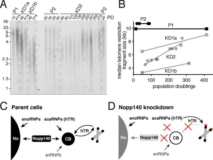 FIGURE 6: