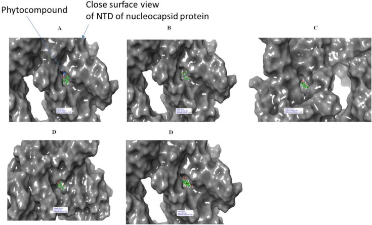 Figure 12.