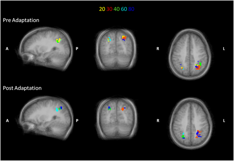 Fig. 10