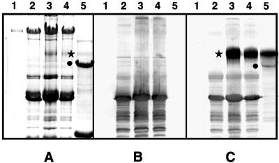 FIG. 9.