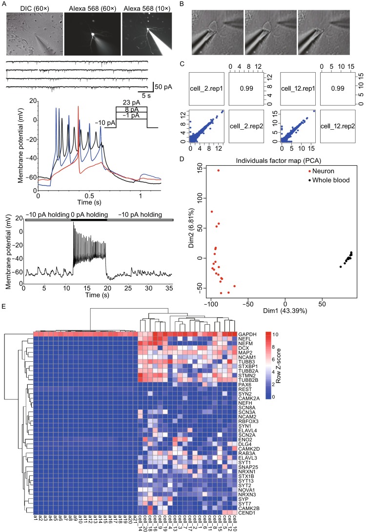 Figure 2