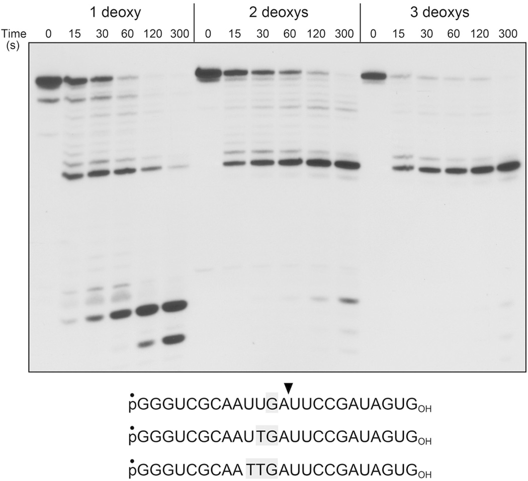 Figure 5