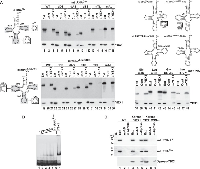 FIGURE 4.