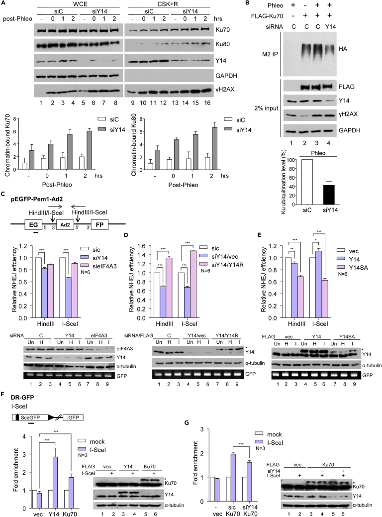 Figure 6