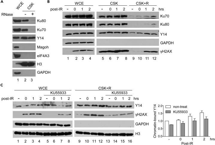 Figure 4