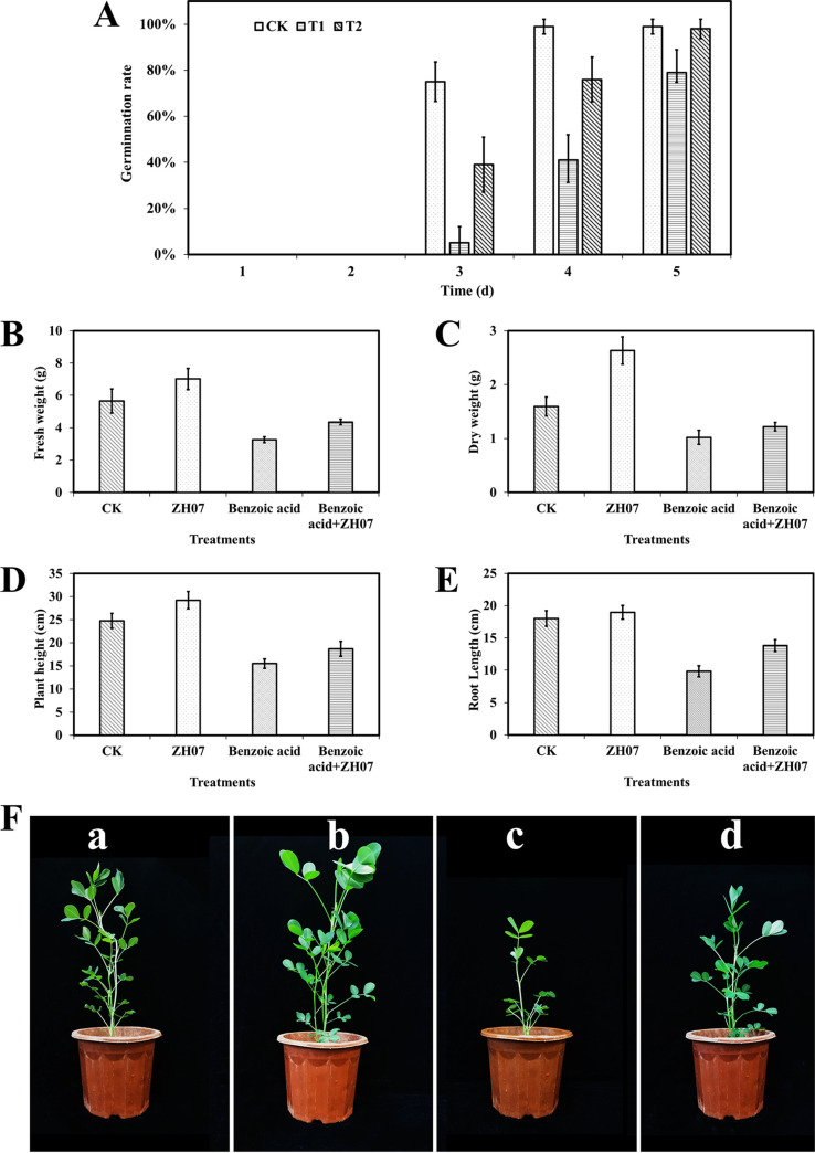 FIG 6