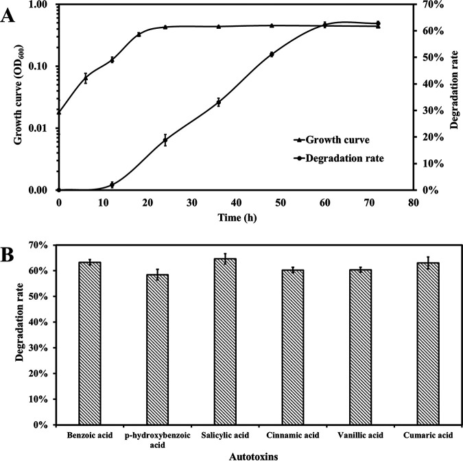 FIG 1