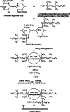 Figure 21