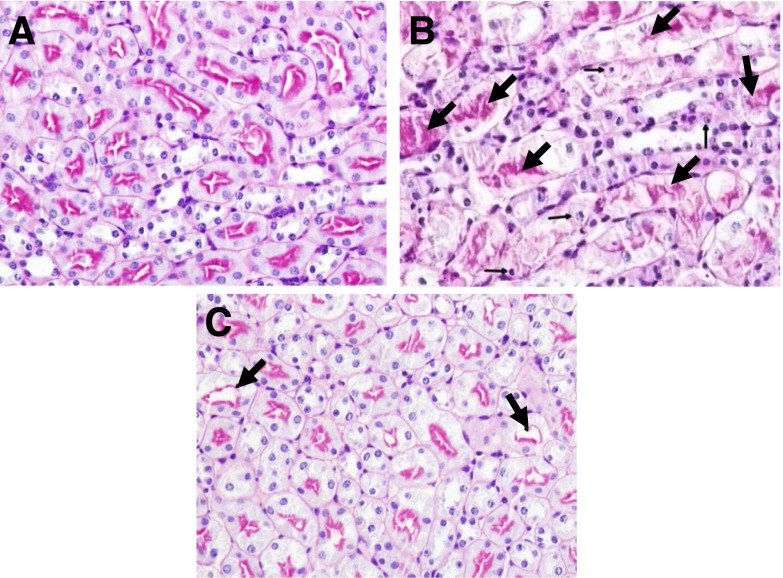 Fig. 6.