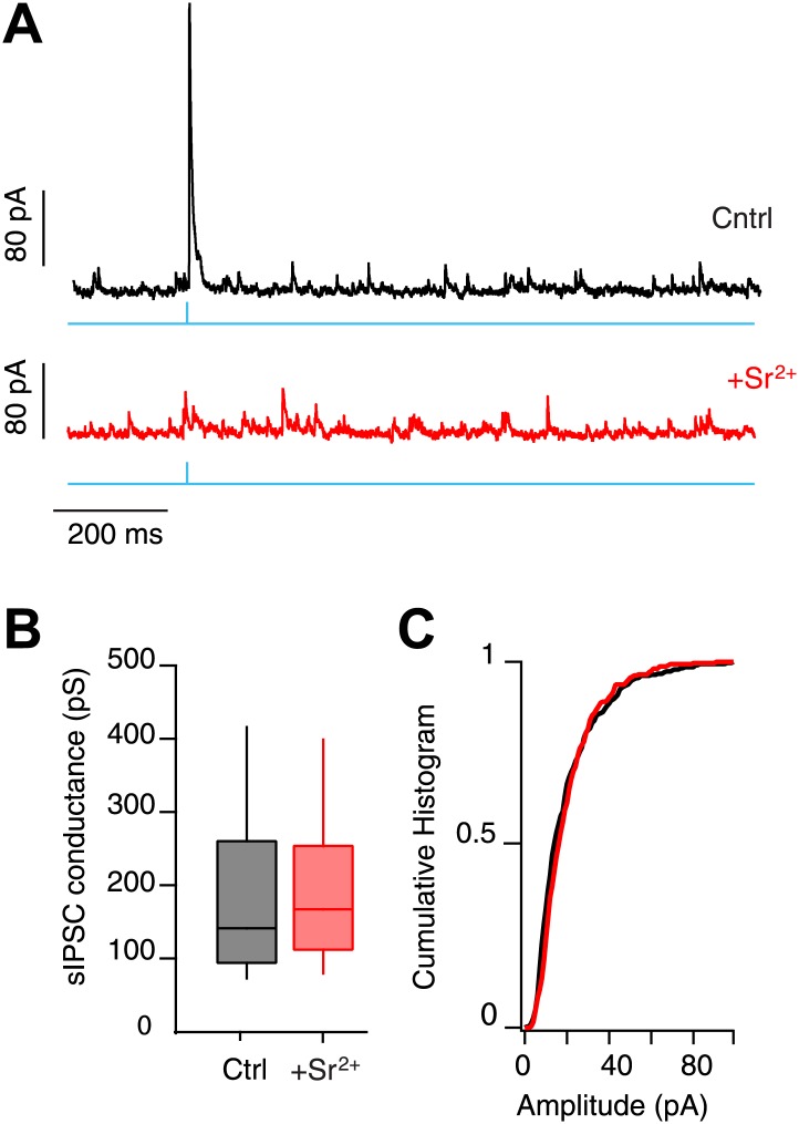 Figure 3—figure supplement 2.