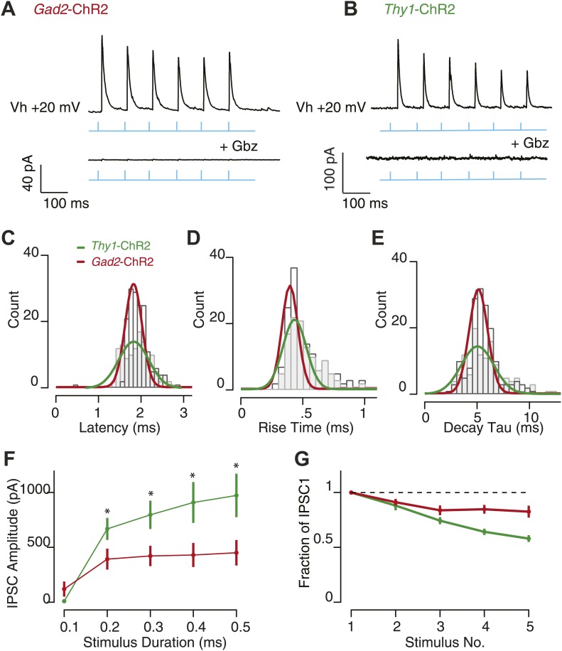 Figure 5—figure supplement 1.