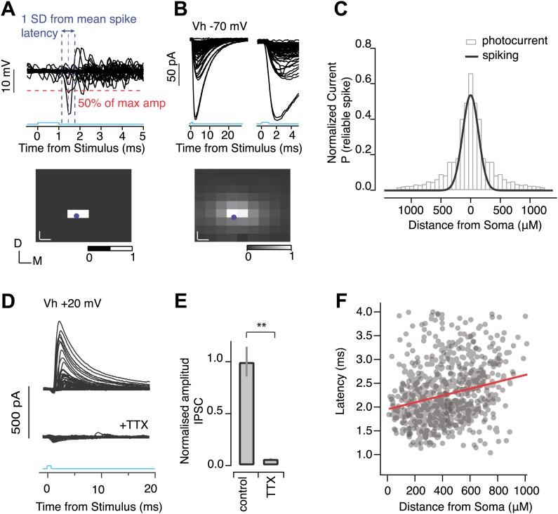 Figure 6—figure supplement 1.