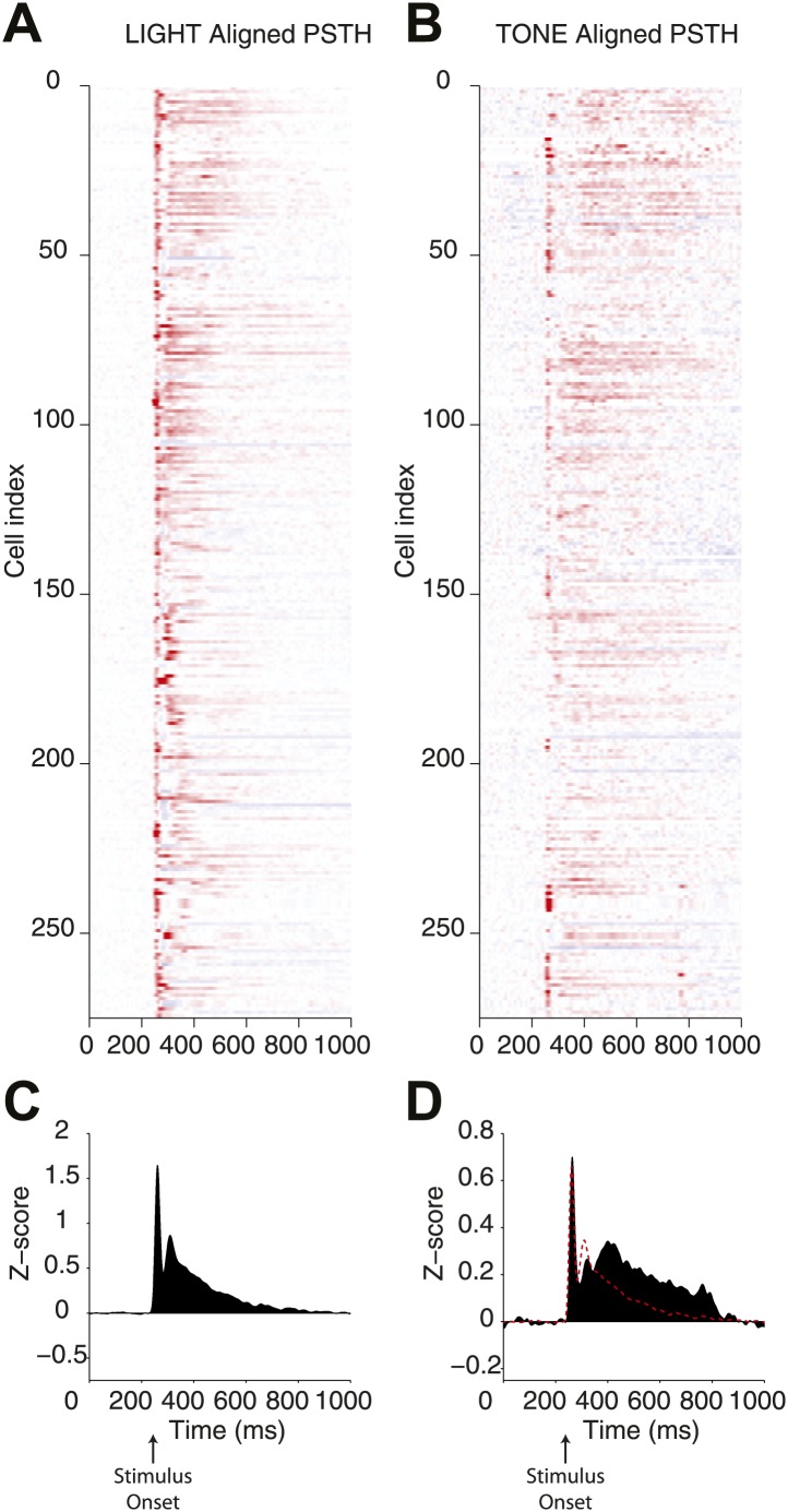 Figure 3—figure supplement 1.