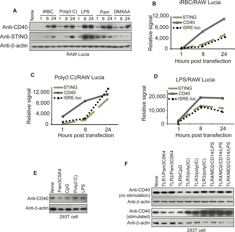 Fig 6