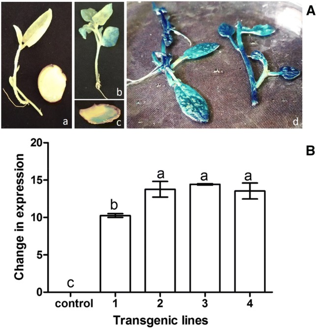 Fig. 4