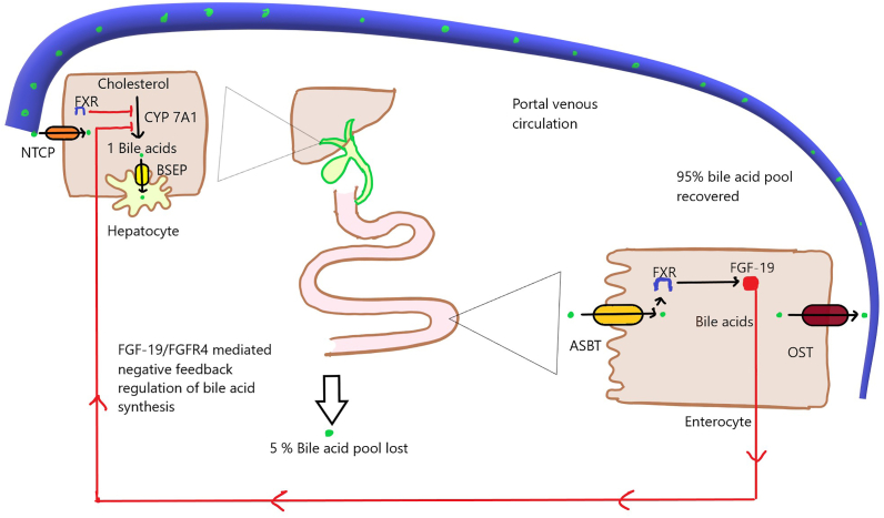 Figure 1