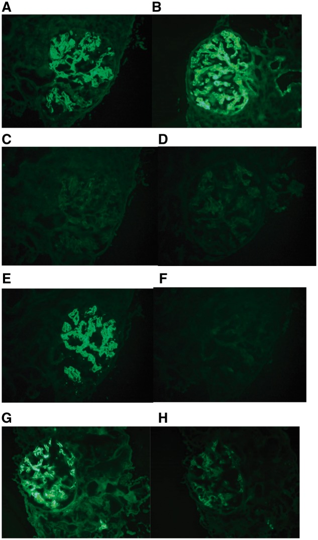 Fig. 5