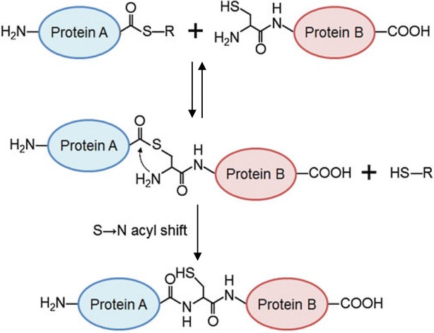 Fig. 21