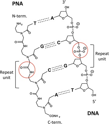 Fig. 25