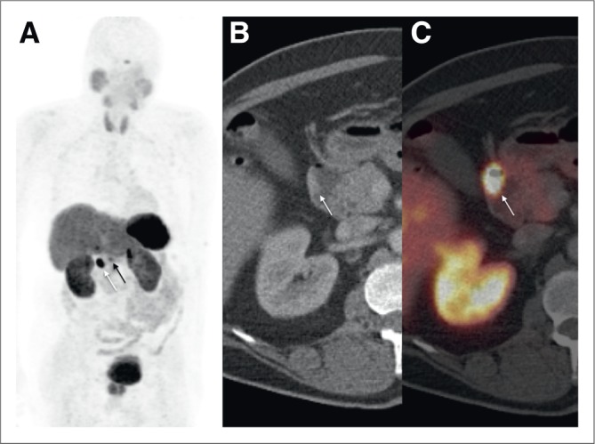 FIGURE 2.