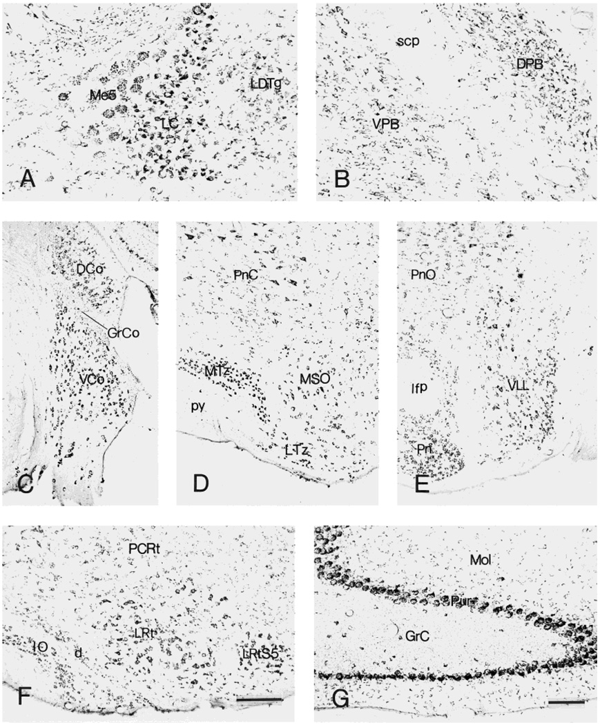 Fig. 11