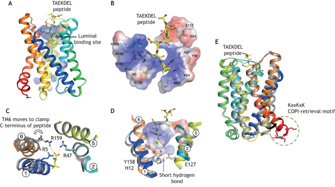 Fig. 4.