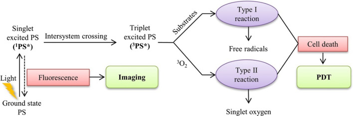 Fig. 2