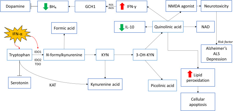 Figure 1