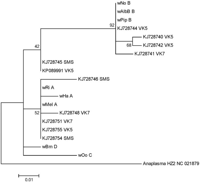 Figure 6