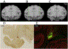 Figure 7: