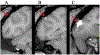 Figure 5: