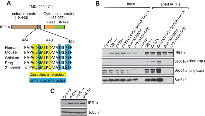 Figure 1—figure supplement 1.