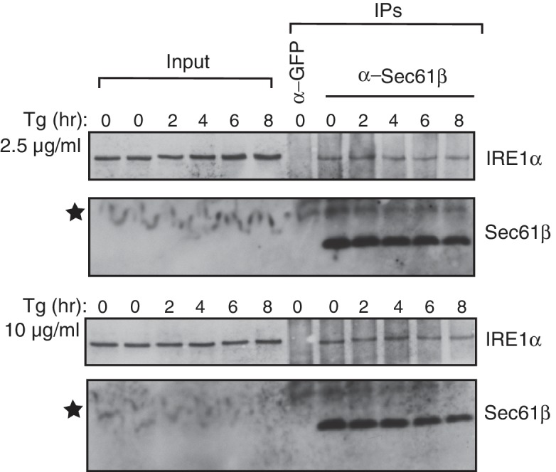 Figure 6—figure supplement 1.