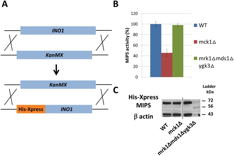 Fig 3