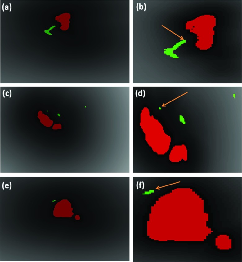 Figure 13