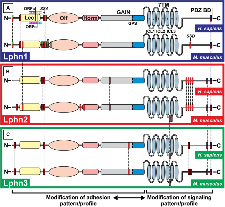 FIGURE 3