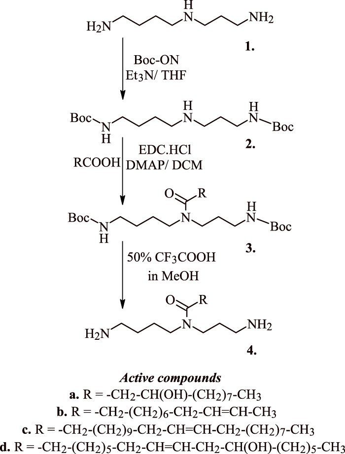 FIGURE 3