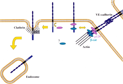 Figure 9.