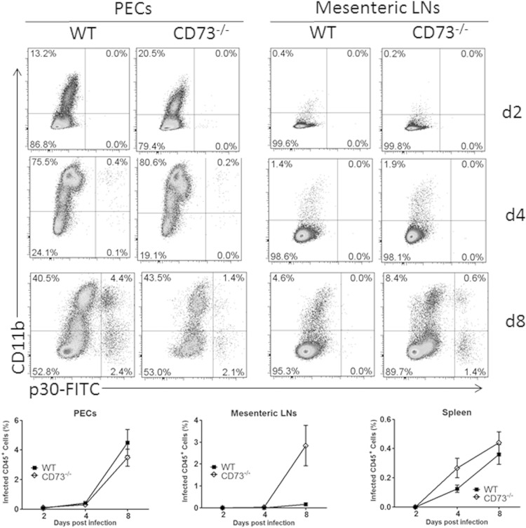 FIG 4