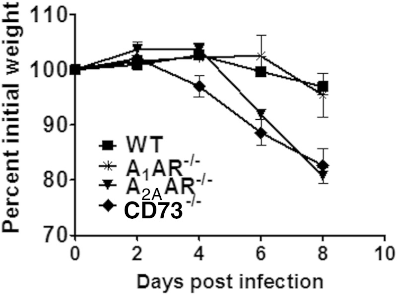 FIG 6