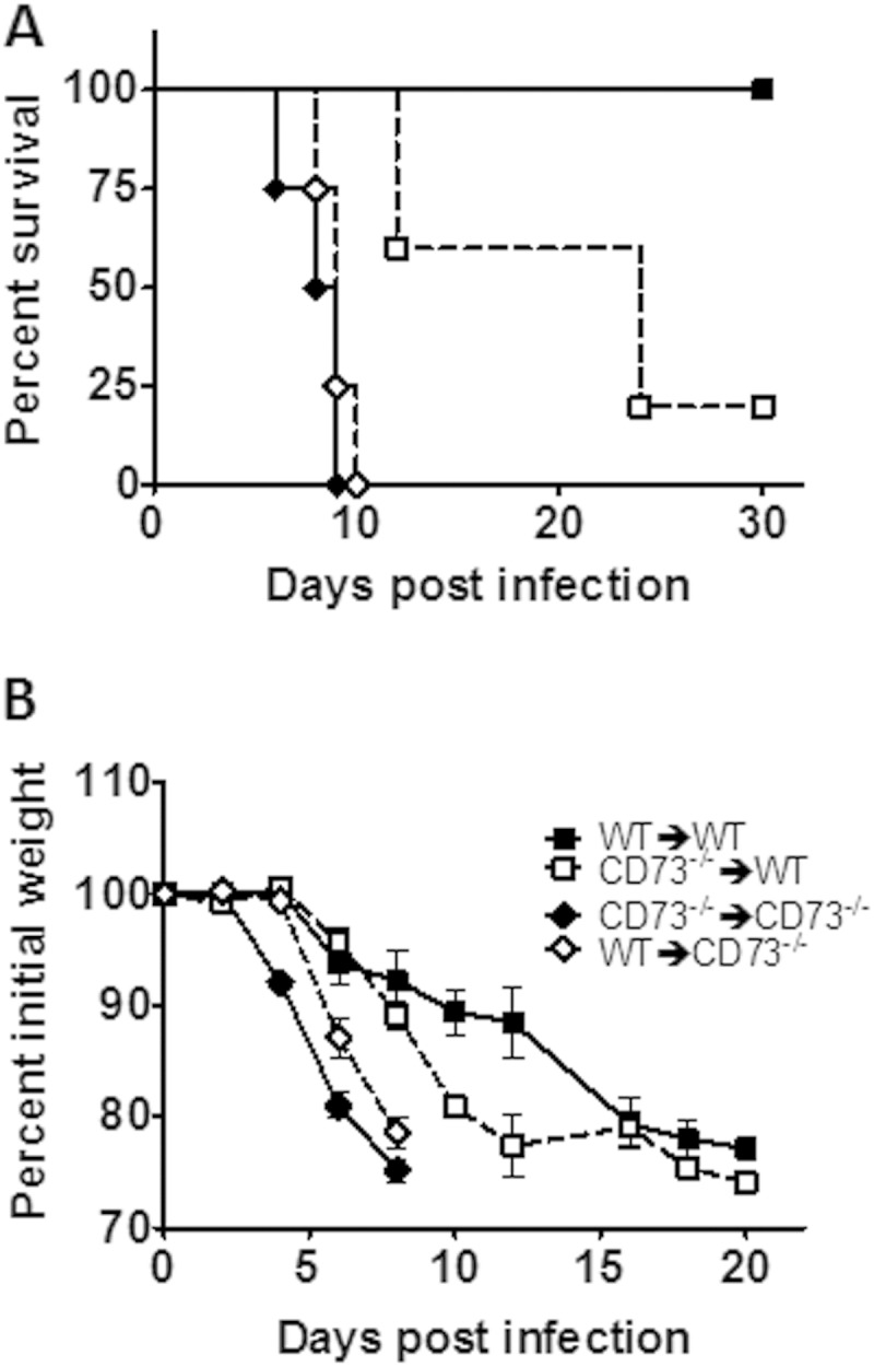 FIG 7