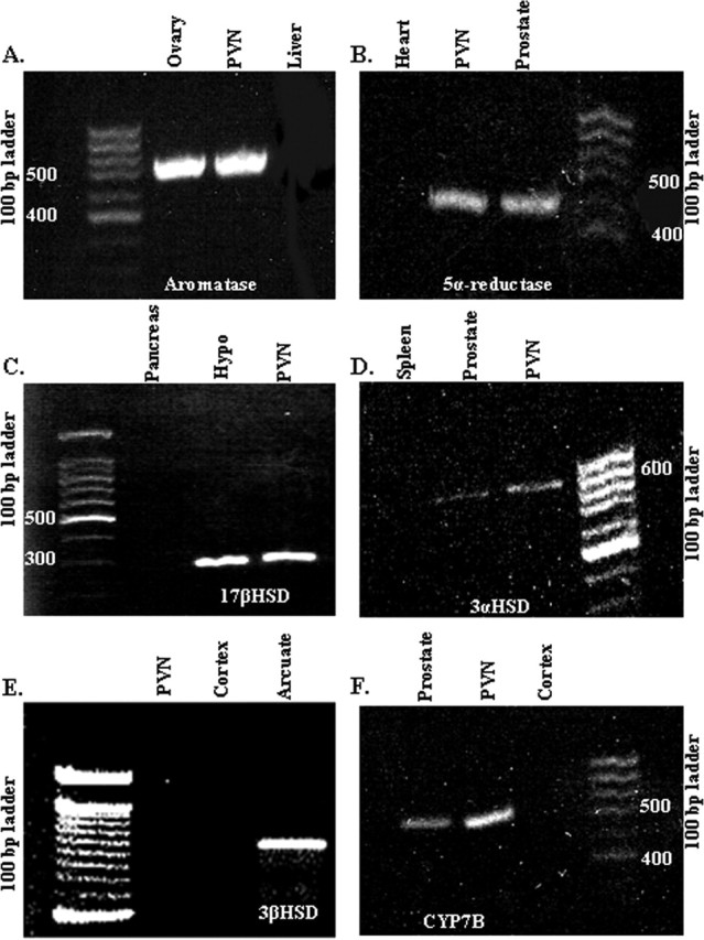 Figure 6.