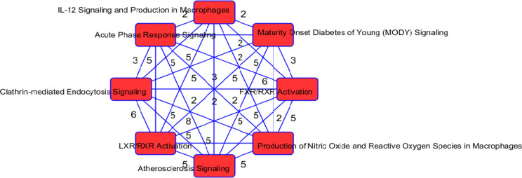 Figure 6: