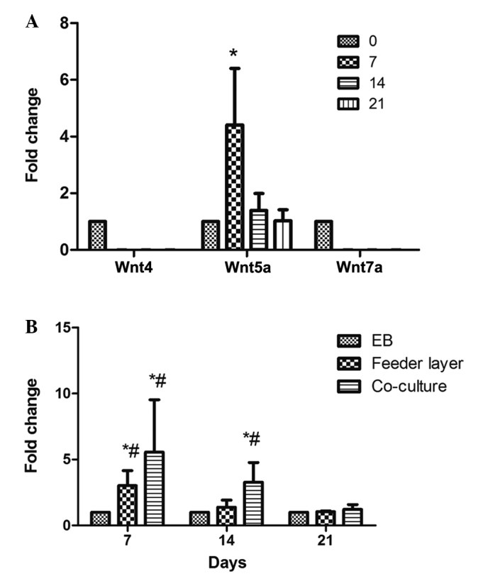 Figure 5.