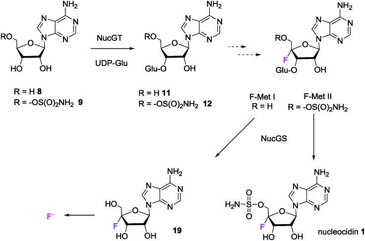 Fig. 7