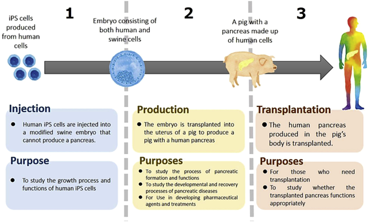 Figure 1