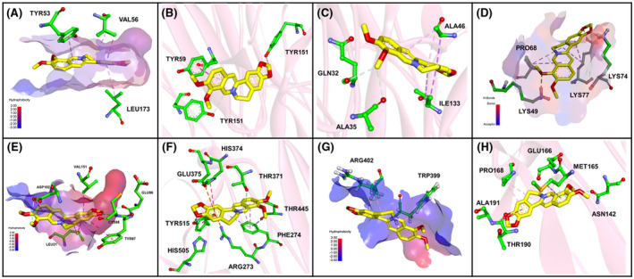 FIGURE 6